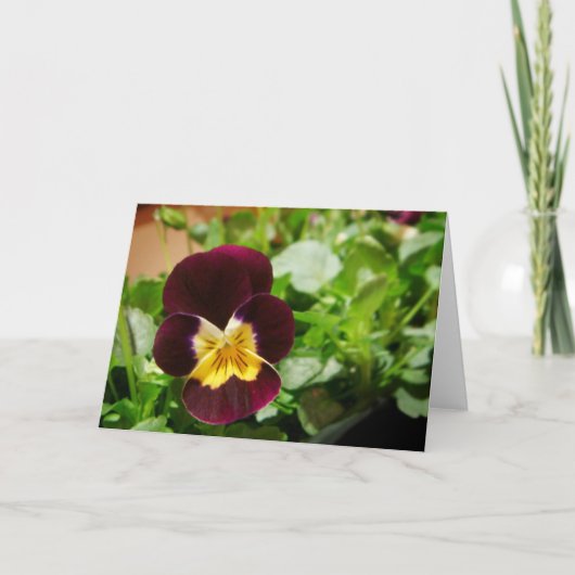 Pensée Kaart (Voorkant)