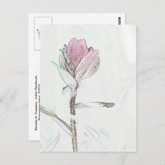 Penseel Briefkaart (Voorkant / Achterkant)