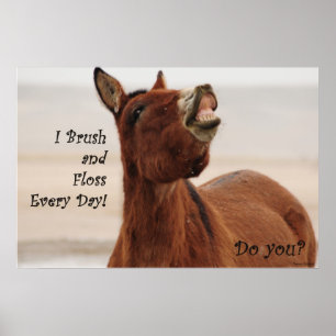 Penseel en verlies uw tanden dagelijks poster