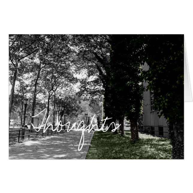 Pensées (Devant horizontal)