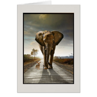 pensées aléatoires