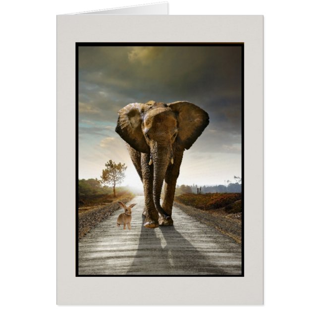 pensées aléatoires (Devant)