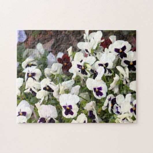 Pensees Fleurs Puzzle (Horizontal)