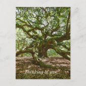 Pensées fortes et audacieuses pour toi Carte posta (Devant)