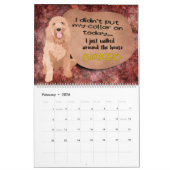 Pensées hilarantes de mon calendrier Goldendoodle (Feb 2026)