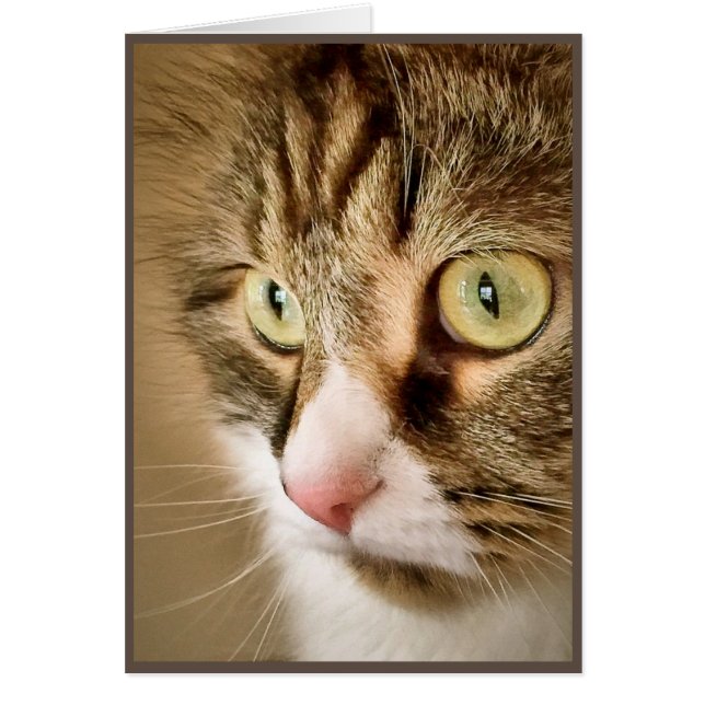 Pensées sibériennes (carte vierge) (Devant)