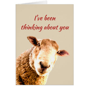 Penser à Ewe amusant Humour animal mouton