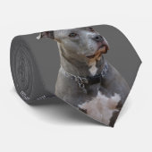 Penser à la Cravate Pitbull (Roulé)