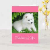Penser à toi Blanc Samoyed Chien Chien rose Carte (Fleur jaune)