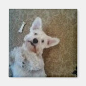 Penser À Ton Aimant (Devant)