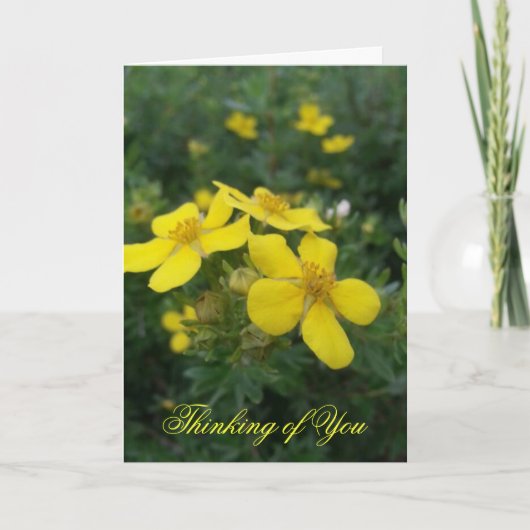 Penser à votre carte (Devant)