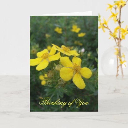 Penser à votre carte (Fleur jaune)