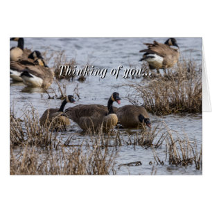 Penser À Votre Carte