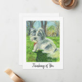 Penser à votre carte (Devant/Arrière en situation)