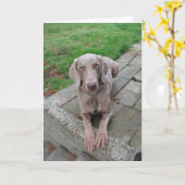 Penser à votre carte (Fleur jaune)