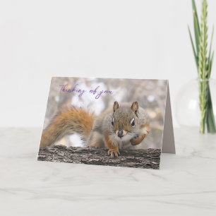 Penser à votre carte 7 x 5" M. Bickles