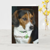 Penser à votre carte Beagle (Fleur jaune)