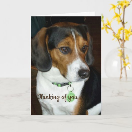 Penser à votre carte Beagle (Fleur jaune)