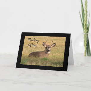 Penser À Votre Carte Buck