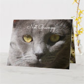 Penser À Votre Carte Chat (Fleur jaune)