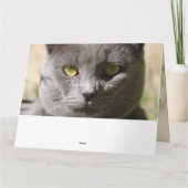Penser À Votre Carte Chat (Dos)