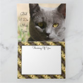 Penser À Votre Carte Chat (Intérieur)