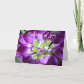 Penser à votre carte de voeux (Devant)