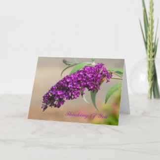 Penser à votre carte de voeux