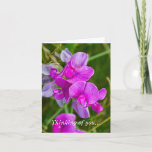 Penser À Votre Carte - Orchidées Violettes
