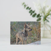 Penser à votre carte postale (Debout devant)