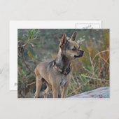 Penser à votre carte postale (Devant / Derrière)