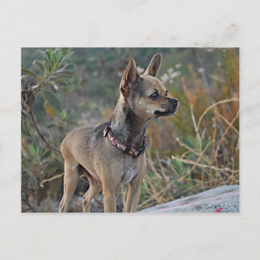 Penser à votre carte postale (Devant)