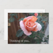 Penser à votre carte postale (Devant / Derrière)