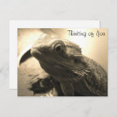 Penser à votre carte postale (Devant / Derrière)