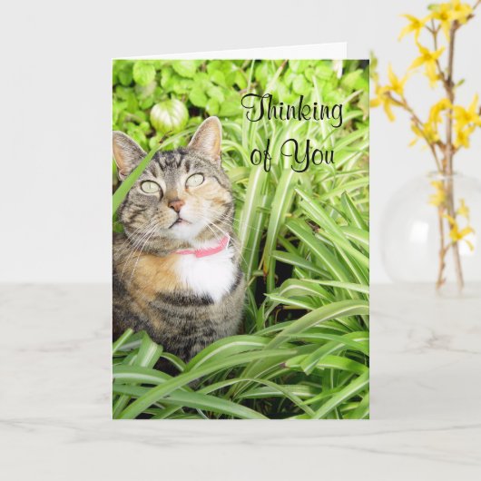 Penser à votre chat Carte (Fleur jaune)