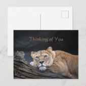 Penser à votre devis Carte postale (Devant / Derrière)