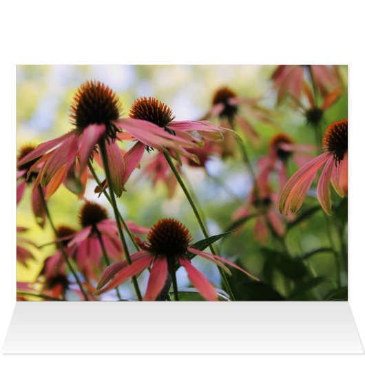 Penser à votre prière (Intérieur Horizontal (Haut))