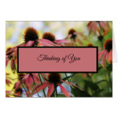 Penser à votre prière (Devant horizontal)