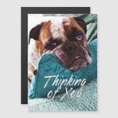 Penser à vous Bulldog Photo carte magnétique (Devant / Derrière)