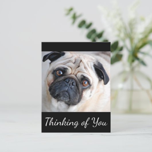 Penser à vous Carlin Chien Chien Chien Noir Carte  (Debout devant)