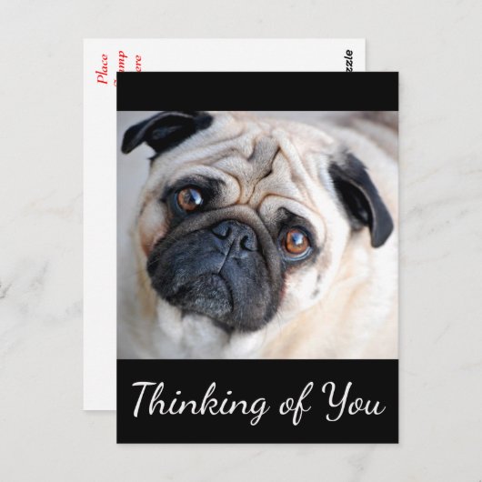 Penser à vous Carlin Chien Chien Chien Noir Carte (Devant / Derrière)