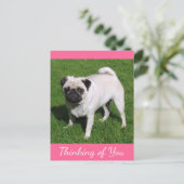 Penser à vous Carlin Chien Chien Pot carte postale (Debout devant)