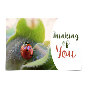"Penser à vous" Carte Ladybug enthousiaste
