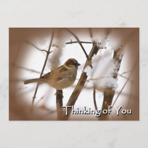 Penser à vous Cartes - Brown avec Bird