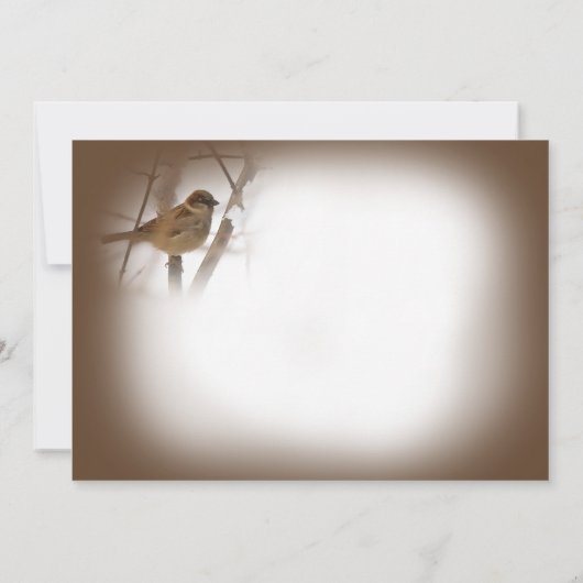 Penser à vous Cartes - Brown avec Bird (Dos)