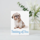 Penser À Vous Chih Tzu Chien Chien Chien Carte Pos (Debout devant)