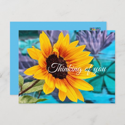 Penser à vous Colorful Hello carte postale (Devant / Derrière)