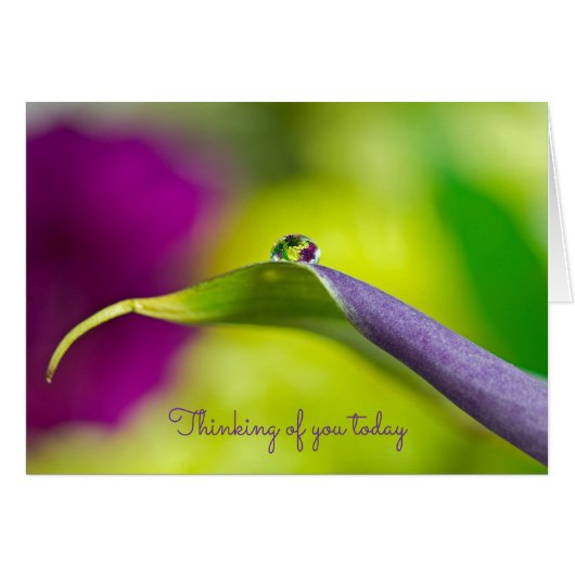 penser à vous dewdrop sur la feuille (Devant horizontal)