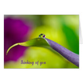 penser à vous dewdrop sur la feuille (Devant Horizontal)