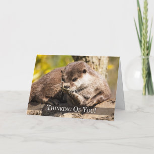 Penser À Vous Otter Carte De Voeux